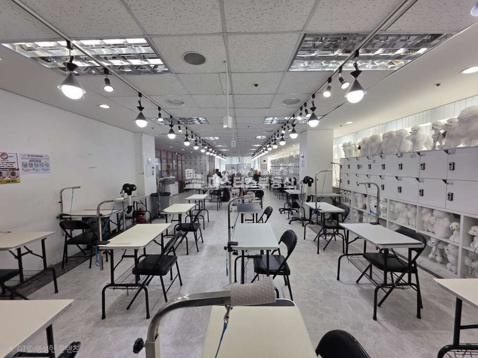 인천 남동구 구월동 전용99, 롯백 터미널 대로변 메디컬빌딩 8층 병의원 입점 최상의 입지 월세 매물번호 11724 사진 9